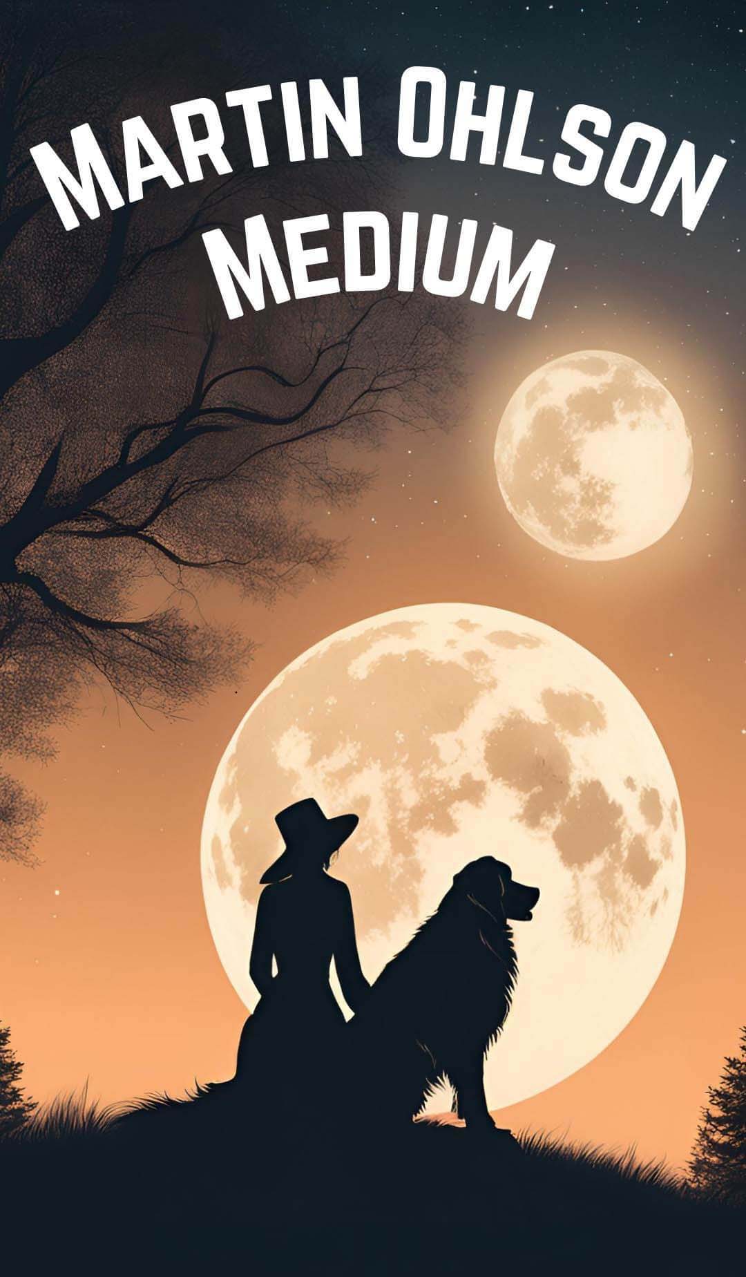 Martin Ohlson Medium logo