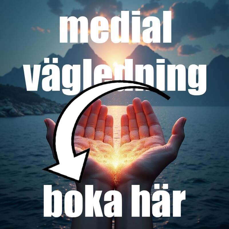 Boka Martin Ohlson Medium för medial vägledning